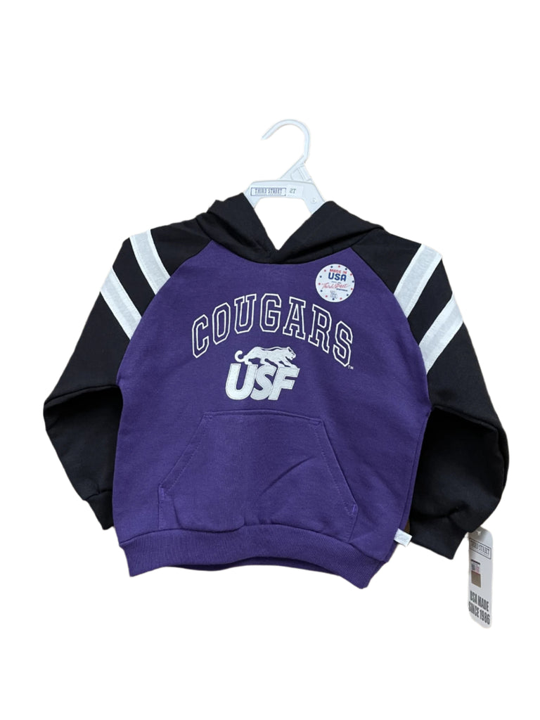 Third Street Raglan Toddler Hoodie