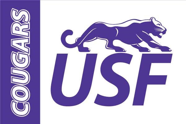 Clearance - Sewing Concepts Medium USF Flag