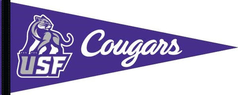 Sewing Concepts NEW Cougars Pennant